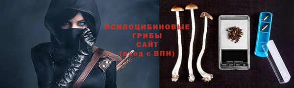 молекула духа Армянск