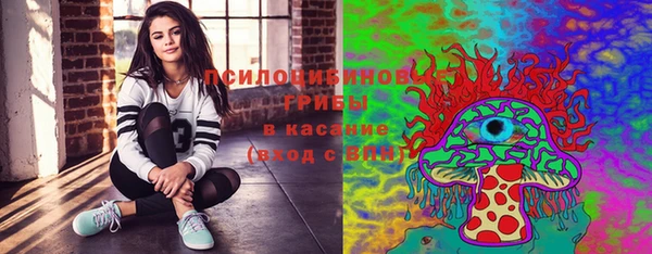 молекула духа Армянск
