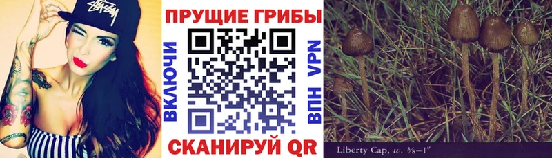 мориарти какой сайт  Шумиха  Галлюциногенные грибы GOLDEN TEACHER  сколько стоит 